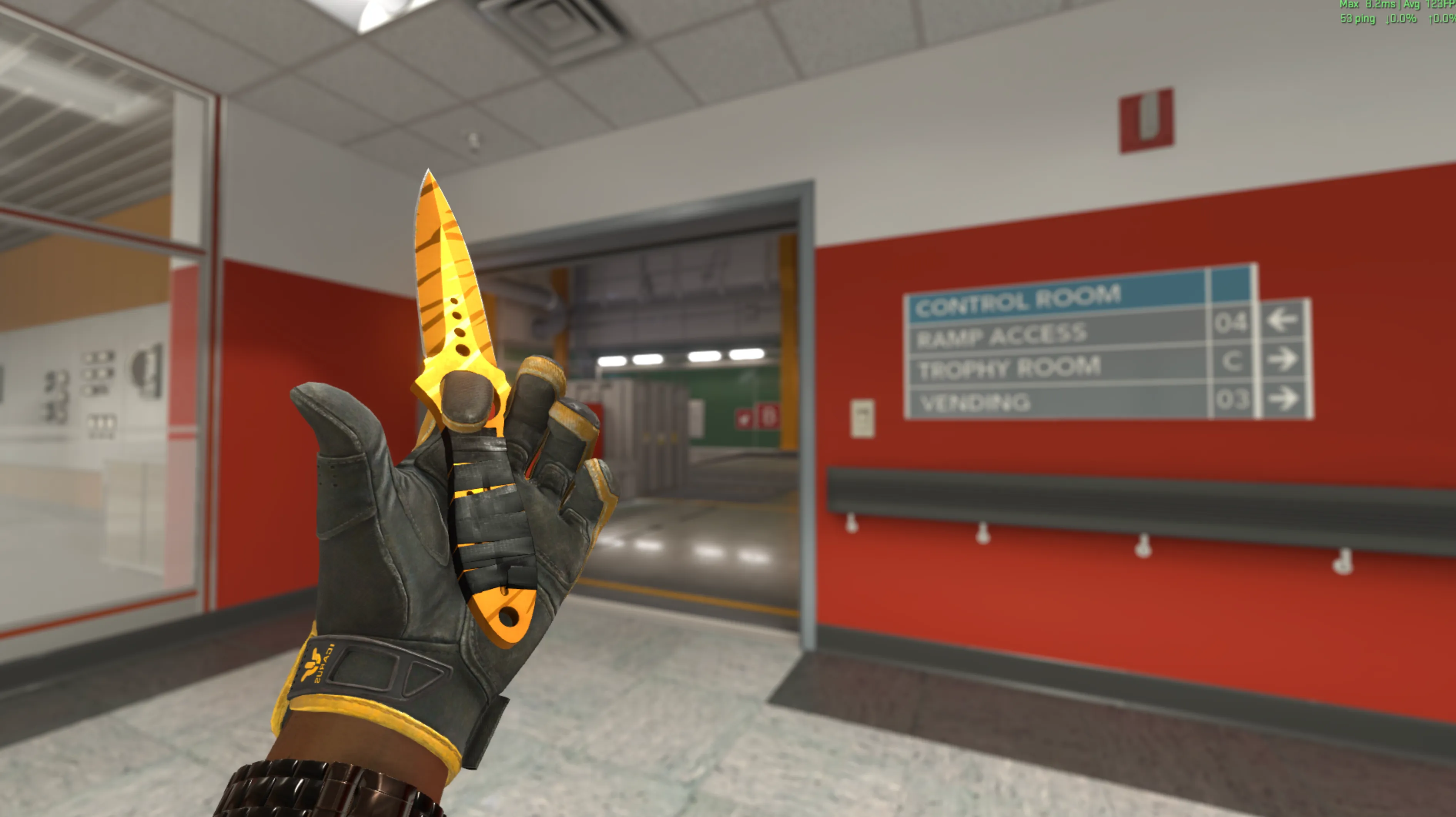 Skeleton Knife Tiger Tooth and Sport Gloves Omega